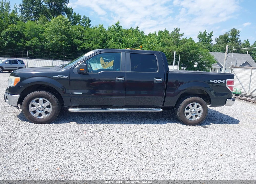 2013 FORD F-150 XLT VIN: 1FTFW1ET6DKG21755