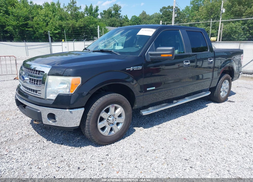 2013 FORD F-150 XLT VIN: 1FTFW1ET6DKG21755