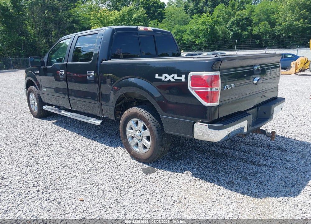 2013 FORD F-150 XLT VIN: 1FTFW1ET6DKG21755