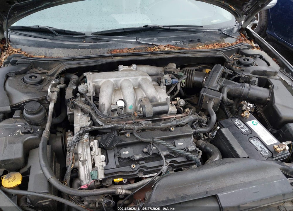 2003 NISSAN ALTIMA 3.5 SE VIN: 1N4BL11E13C177276