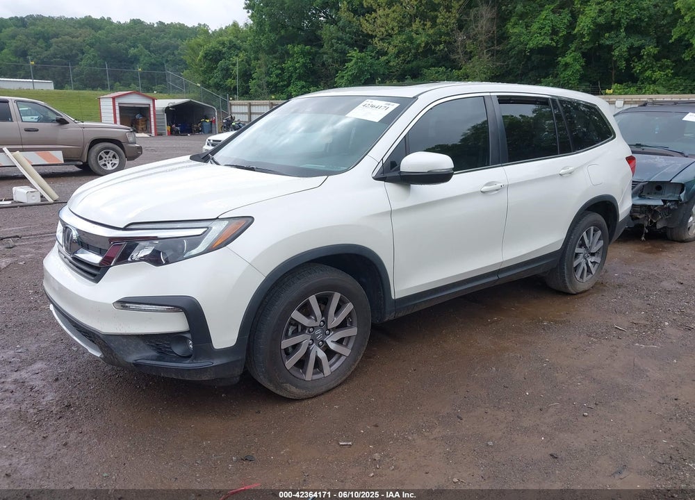 2019 HONDA PILOT EX-L VIN: 5FNYF6H59KB085834