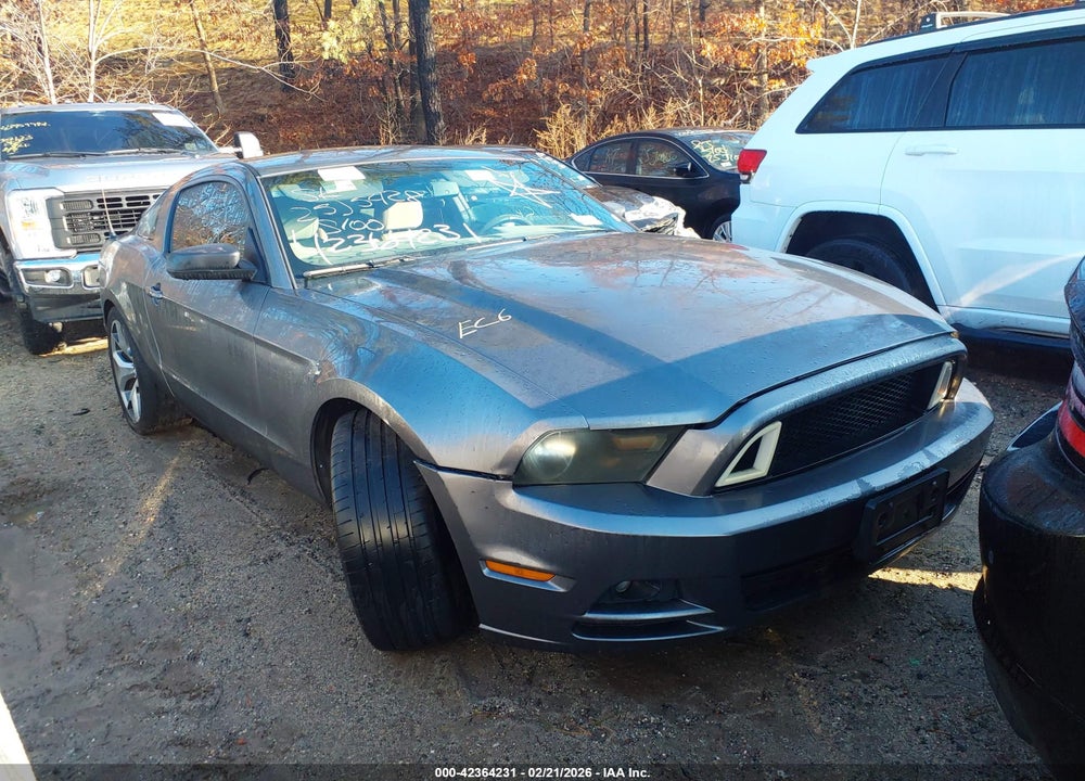 2013 FORD MUSTANG V6 VIN: 1ZVBP8AM1D5269392