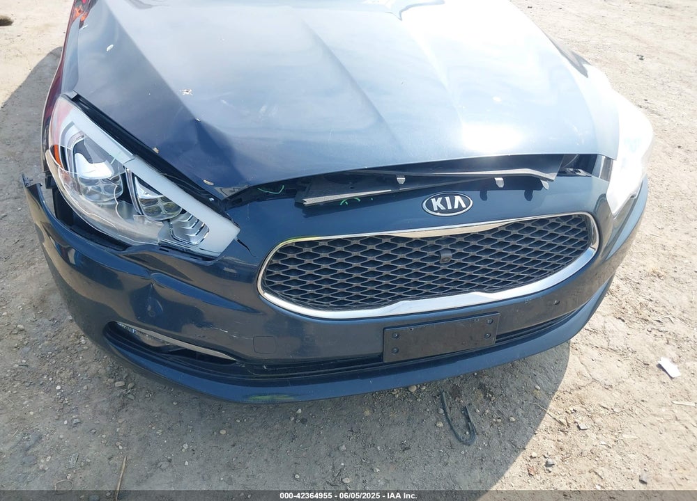 2015 KIA K900 VIN: KNALW4D41F6020535