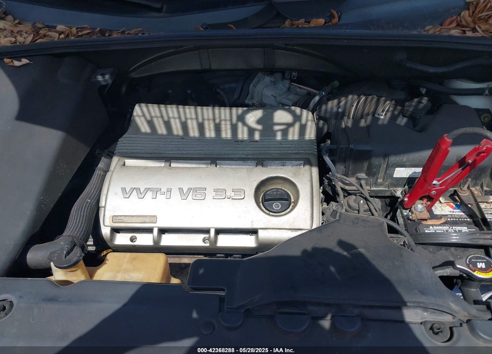 2006 LEXUS RX 330 VIN: 2T2GA31U96C042983