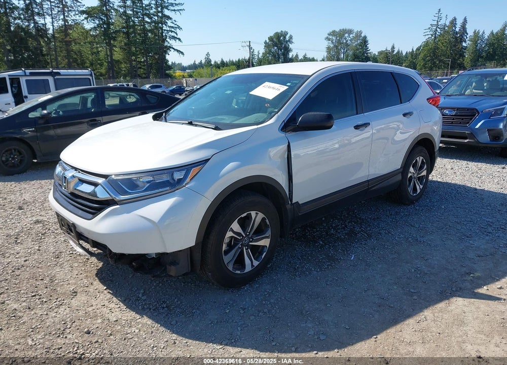 2019 HONDA CR-V VIN: 5J6RW6H34KL001445