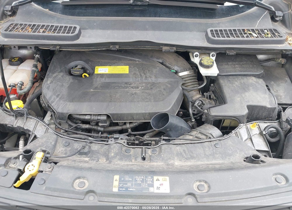 2014 FORD ESCAPE VIN: 1FMCU0GX6EUB77202