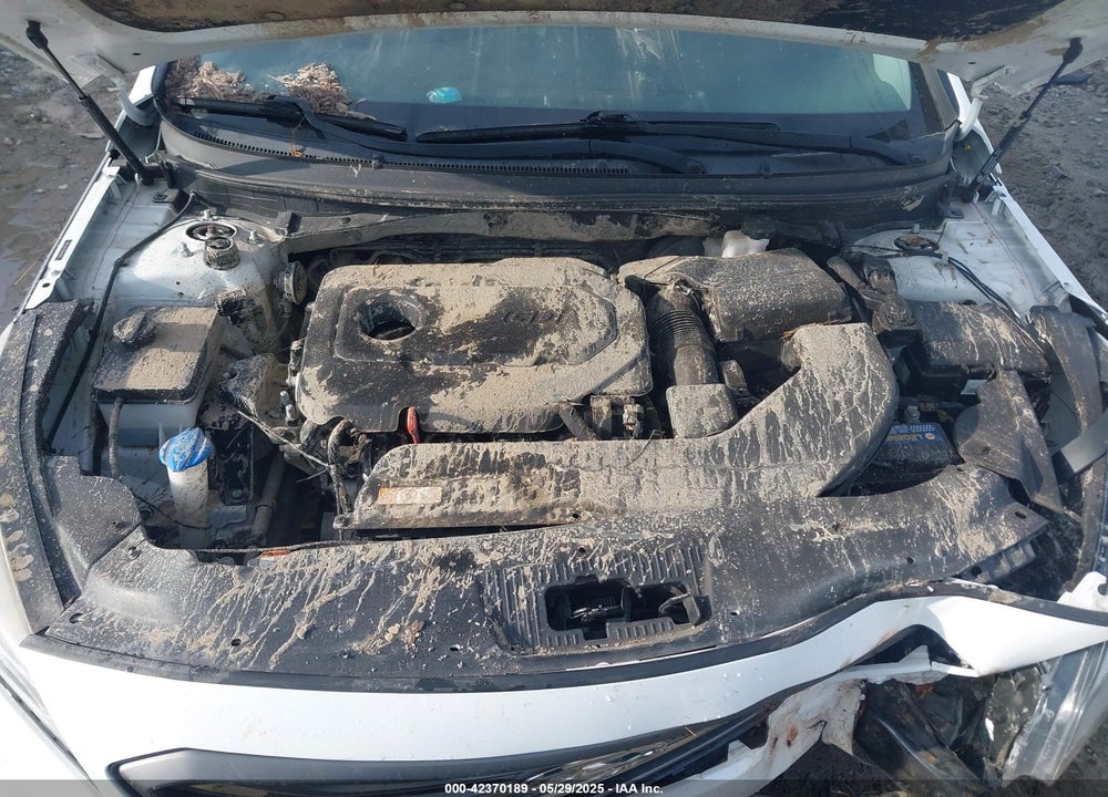 2017 HYUNDAI SONATA VIN: 5NPE34AF5HH442889