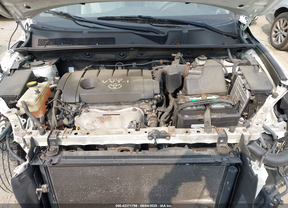 2009 TOYOTA RAV4 VIN: JTMBF31V995011176