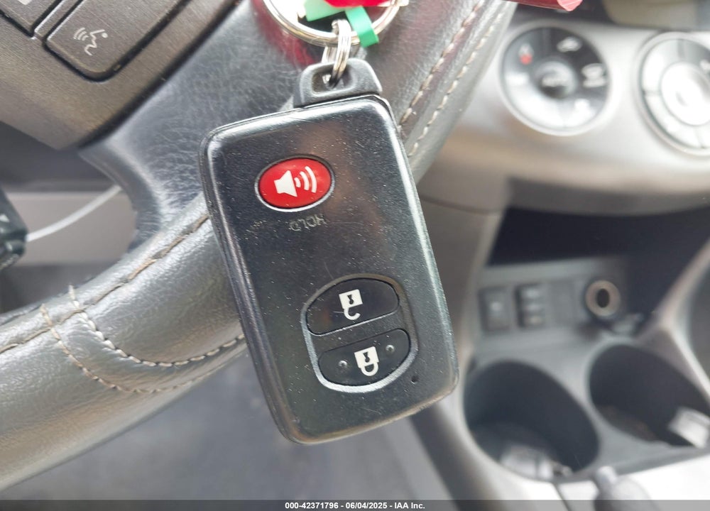 2009 TOYOTA RAV4 VIN: JTMBF31V995011176