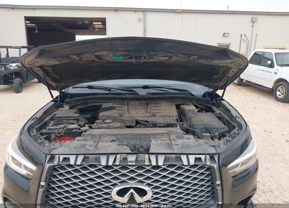 2019 INFINITI QX80 LUXE VIN: JN8AZ2NEXK9232070