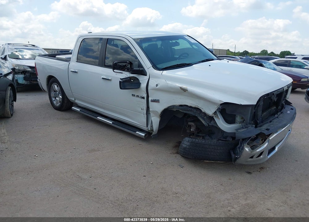 2010 DODGE RAM 1500 SLT/SPORT/TRX VIN: 1D7RB1CT3AS248252