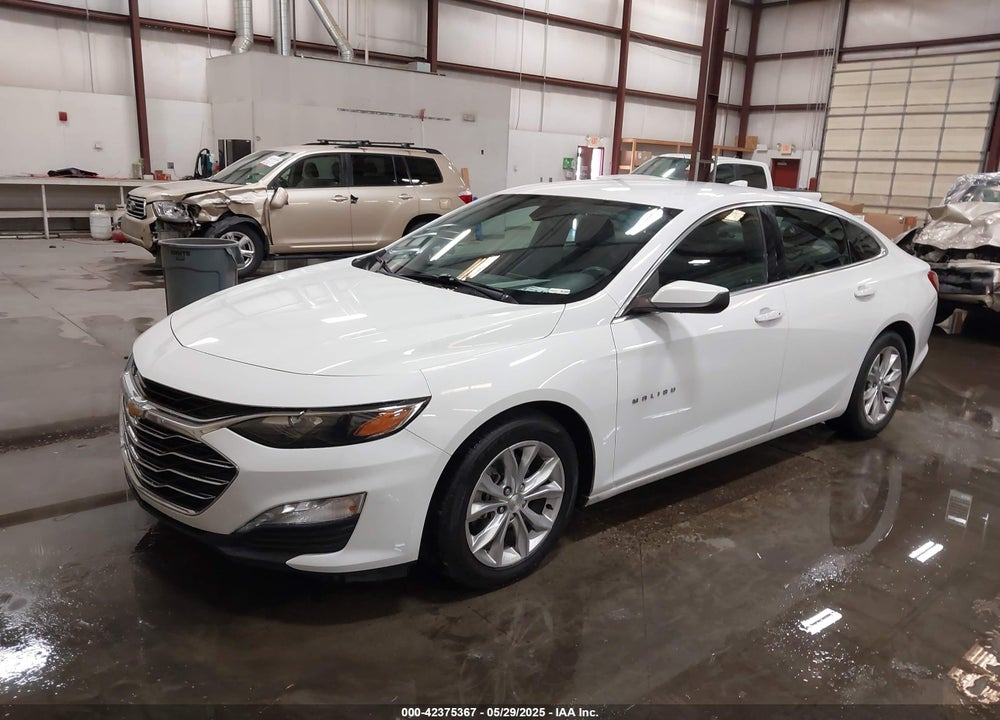 2019 CHEVROLET MALIBU VIN: 1G1ZD5ST3KF215722