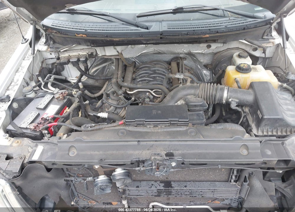 2013 FORD F-150 VIN: 1FTFW1CF9DKF65761