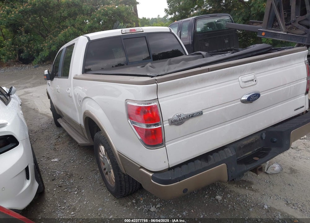2013 FORD F-150 VIN: 1FTFW1CF9DKF65761