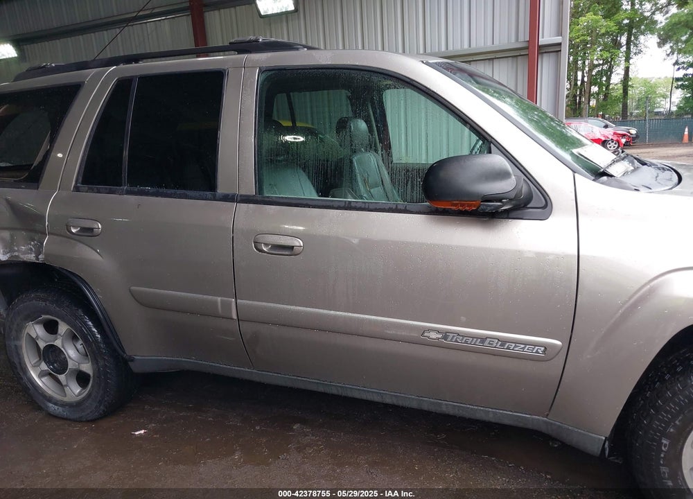 2002 CHEVROLET TRAILBLAZER VIN: 1GNDS13S822136700