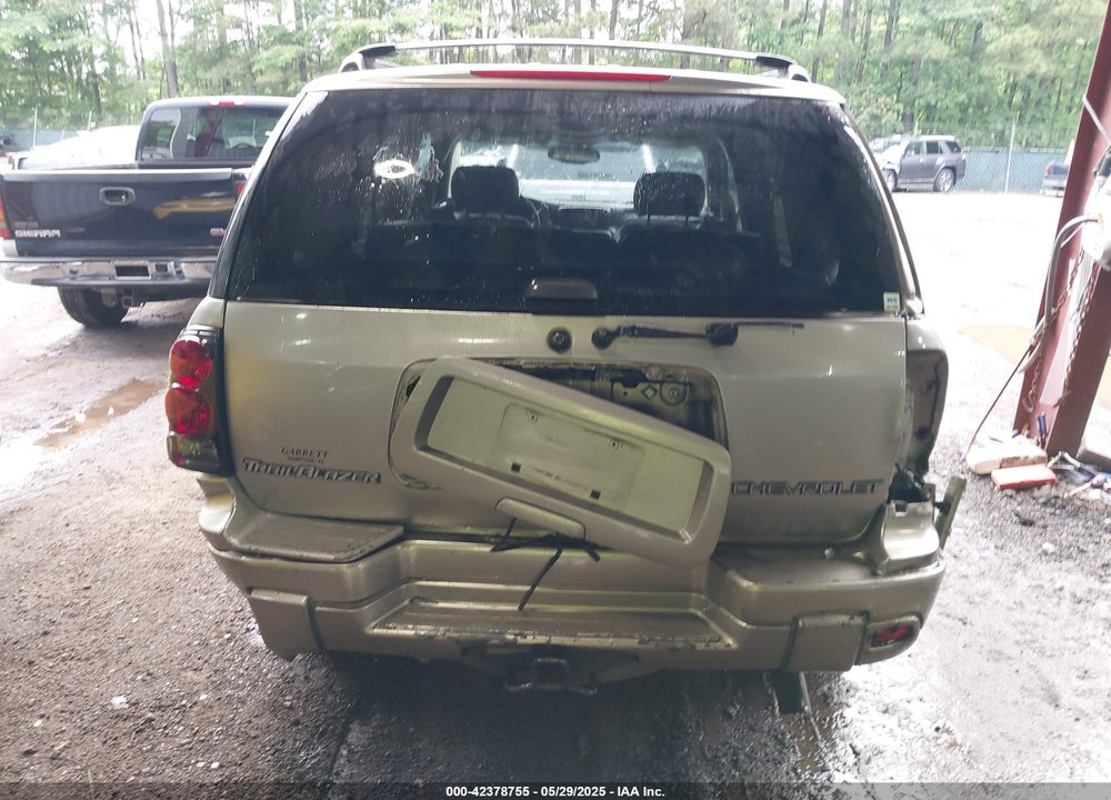 2002 CHEVROLET TRAILBLAZER VIN: 1GNDS13S822136700