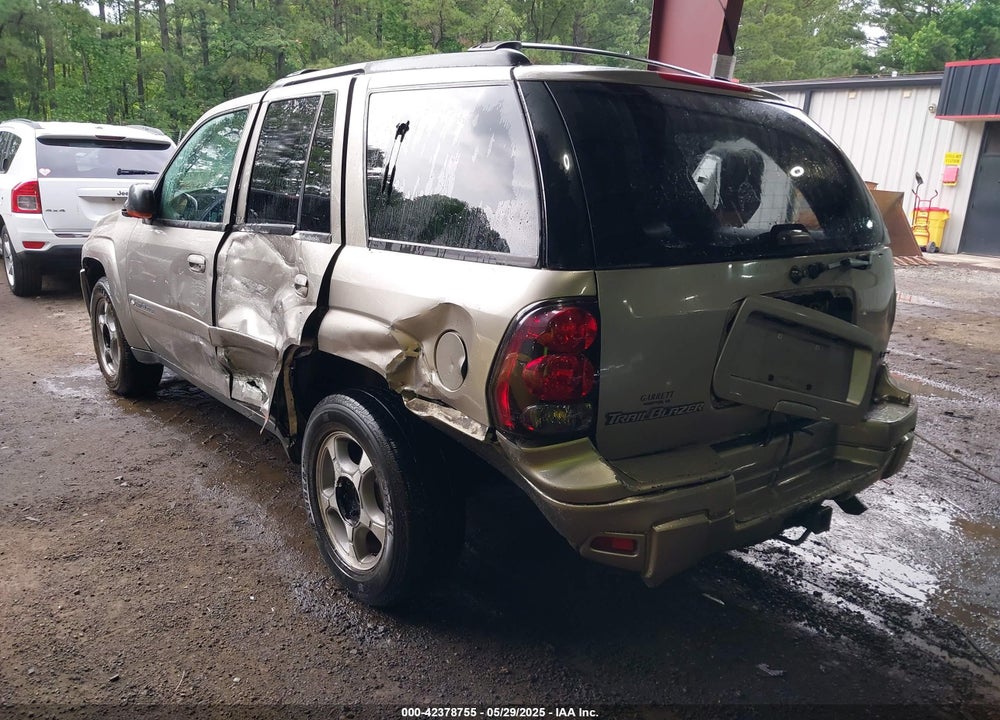 2002 CHEVROLET TRAILBLAZER VIN: 1GNDS13S822136700