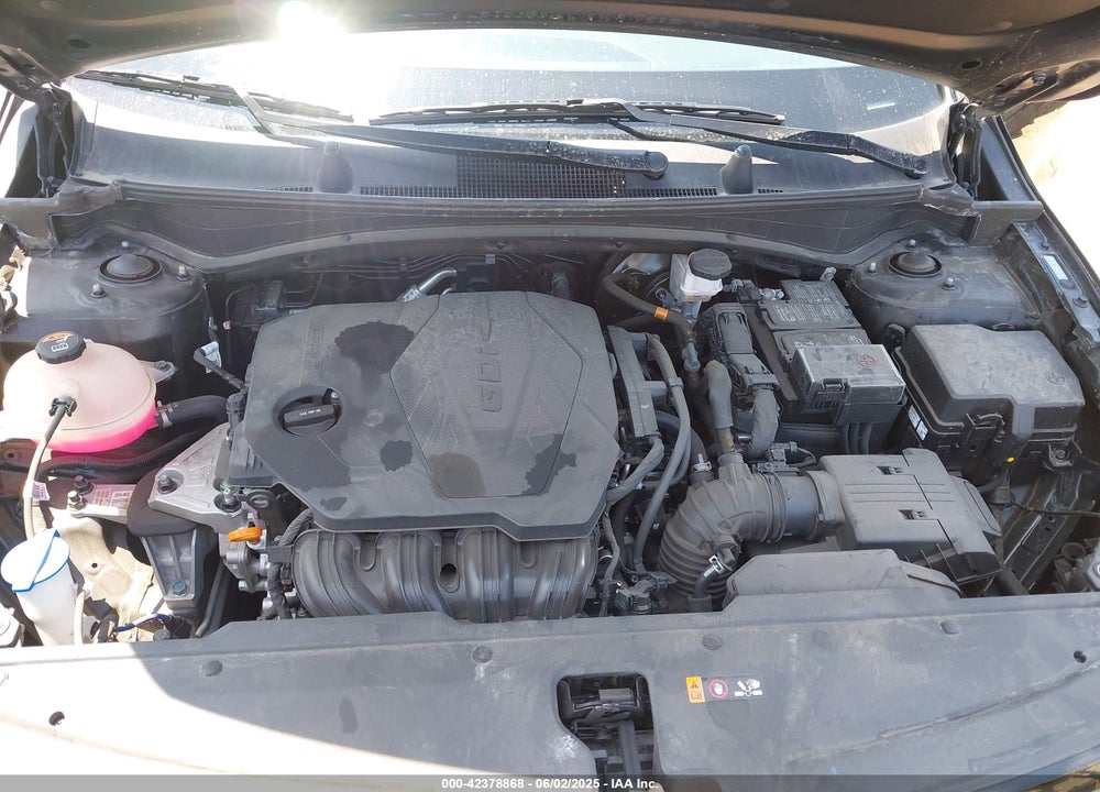 2024 KIA SPORTAGE VIN: 5XYK33DF8RG209901