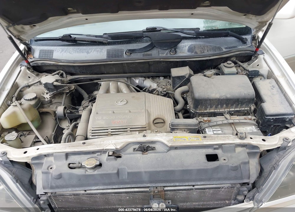 2000 LEXUS RX 300 VIN: JT6HF10U6Y0162955