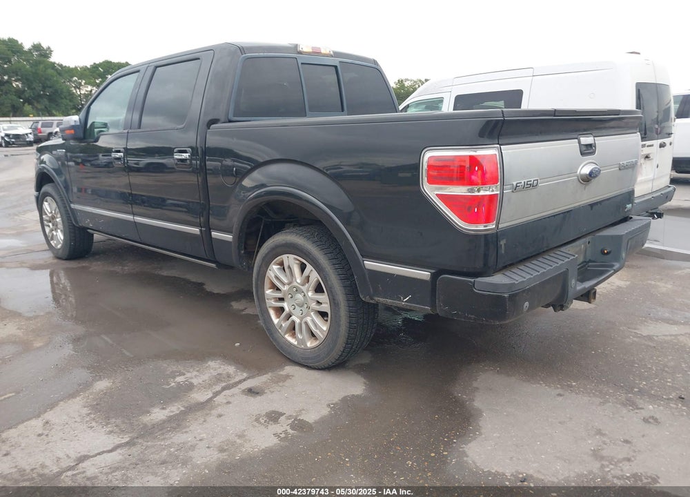 2010 FORD F-150 VIN: 1FTFW1CV3AFA67678