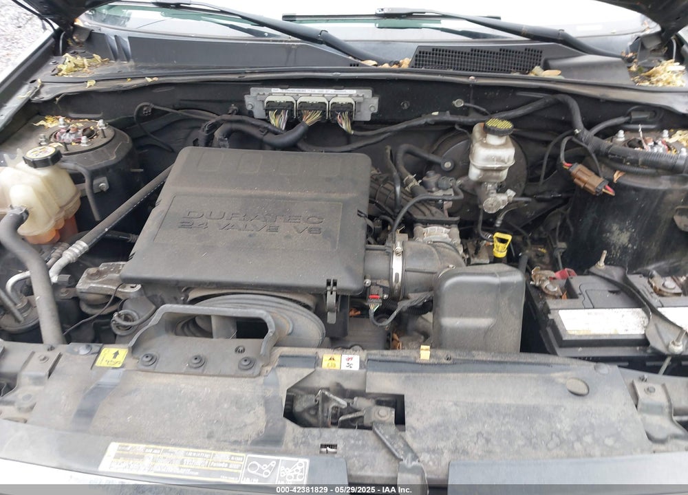 2011 FORD ESCAPE XLT VIN: 1FMCU0DG0BKC28270