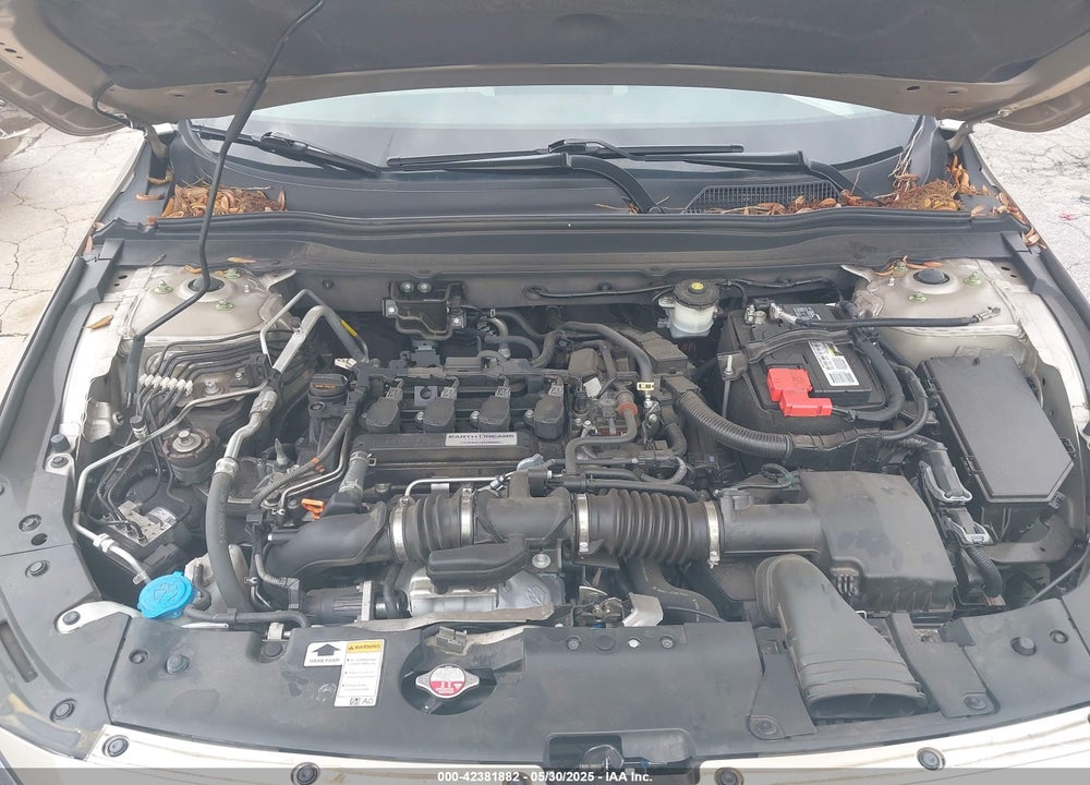 2019 HONDA ACCORD VIN: 1HGCV1F1XKA074481