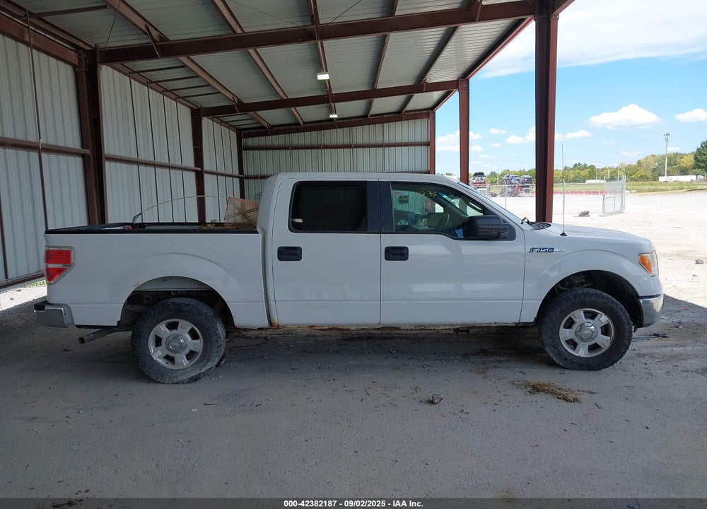 2010 FORD F-150 VIN: 1FTFW1EV5AFB69285