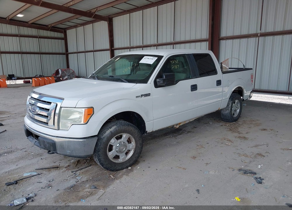 2010 FORD F-150 VIN: 1FTFW1EV5AFB69285