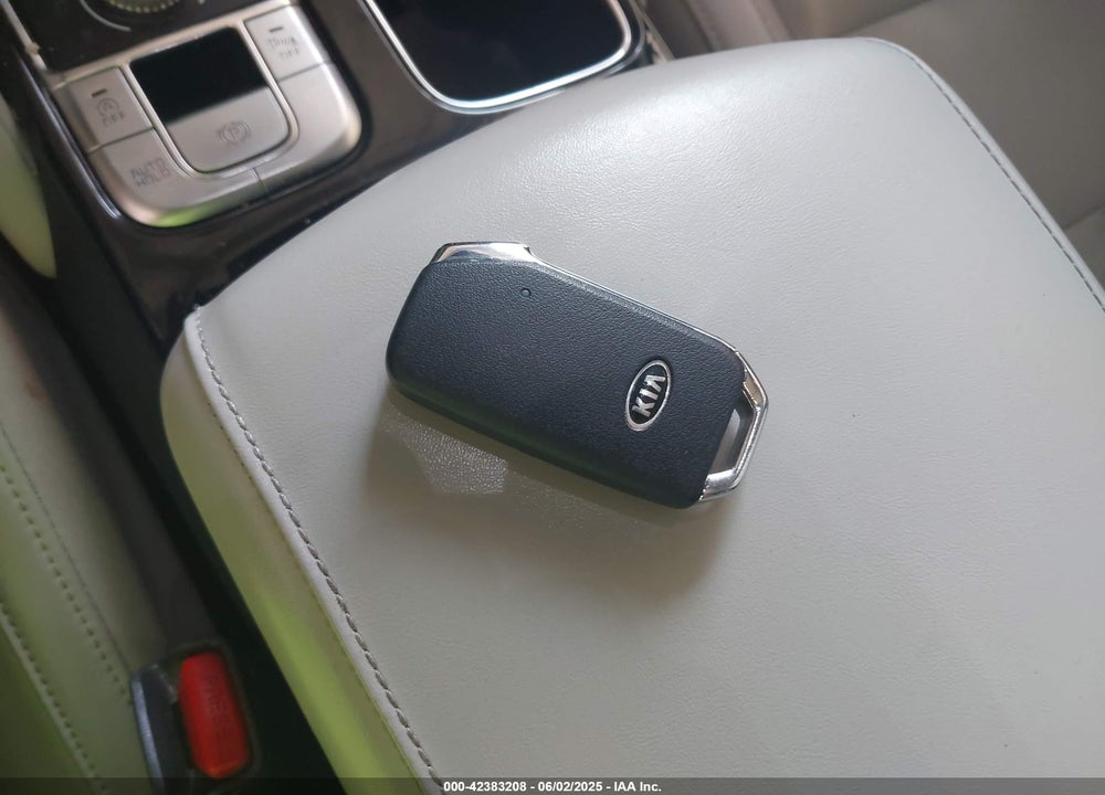 2020 KIA TELLURIDE VIN: 5XYP6DHC6LG004877