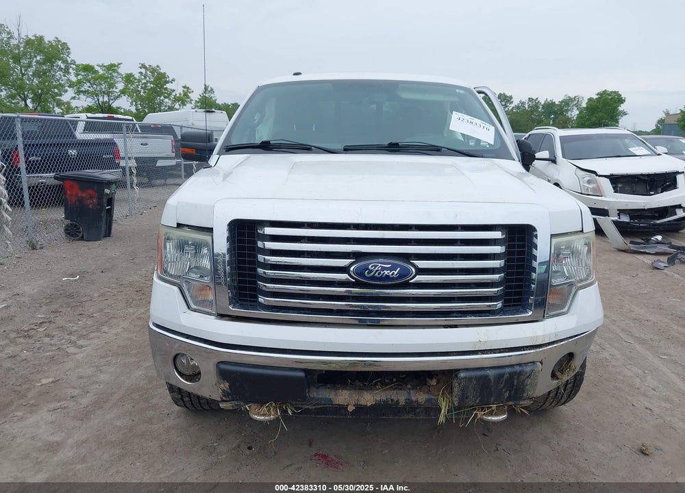 2010 FORD F-150 VIN: 1FTFX1EV3AFA44783