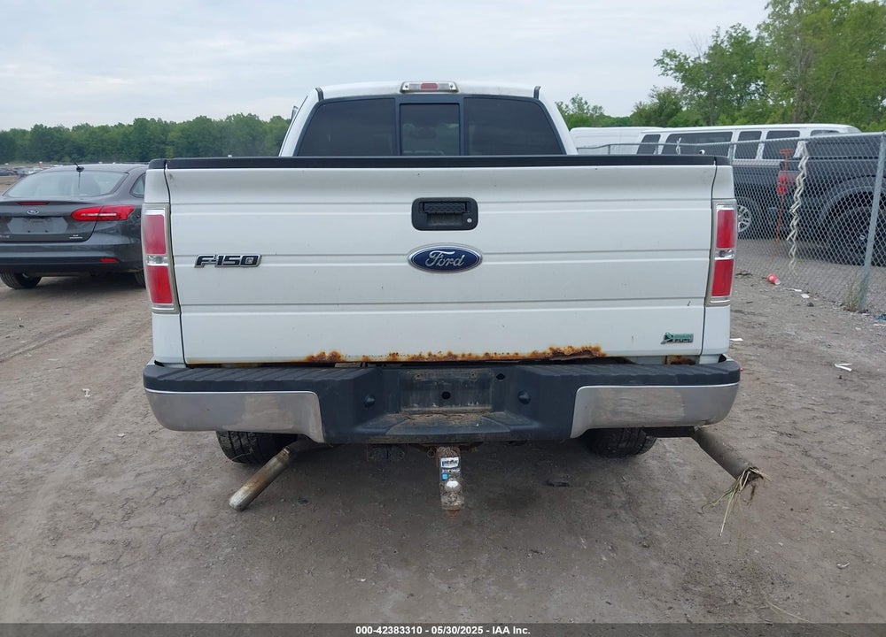 2010 FORD F-150 VIN: 1FTFX1EV3AFA44783