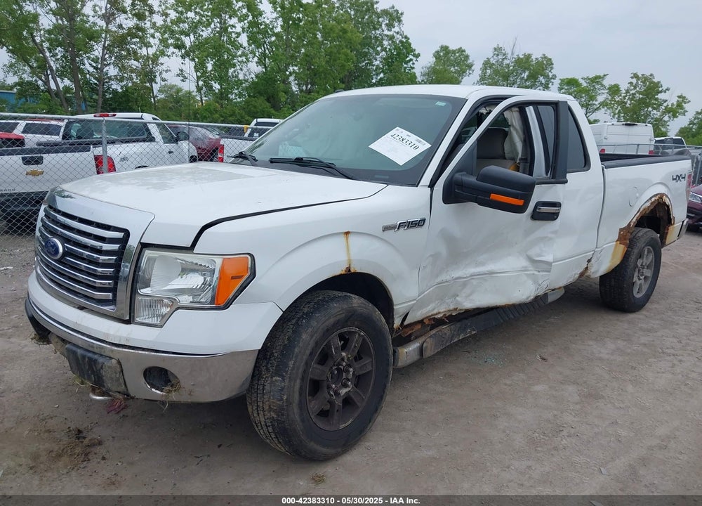 2010 FORD F-150 VIN: 1FTFX1EV3AFA44783