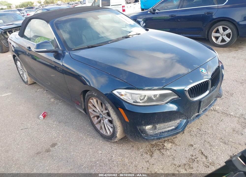 2015 BMW 228I VIN: WBA1K5C58FV473737