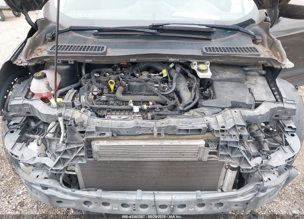 2019 FORD ESCAPE VIN: 1FMCU0GD4KUA92490