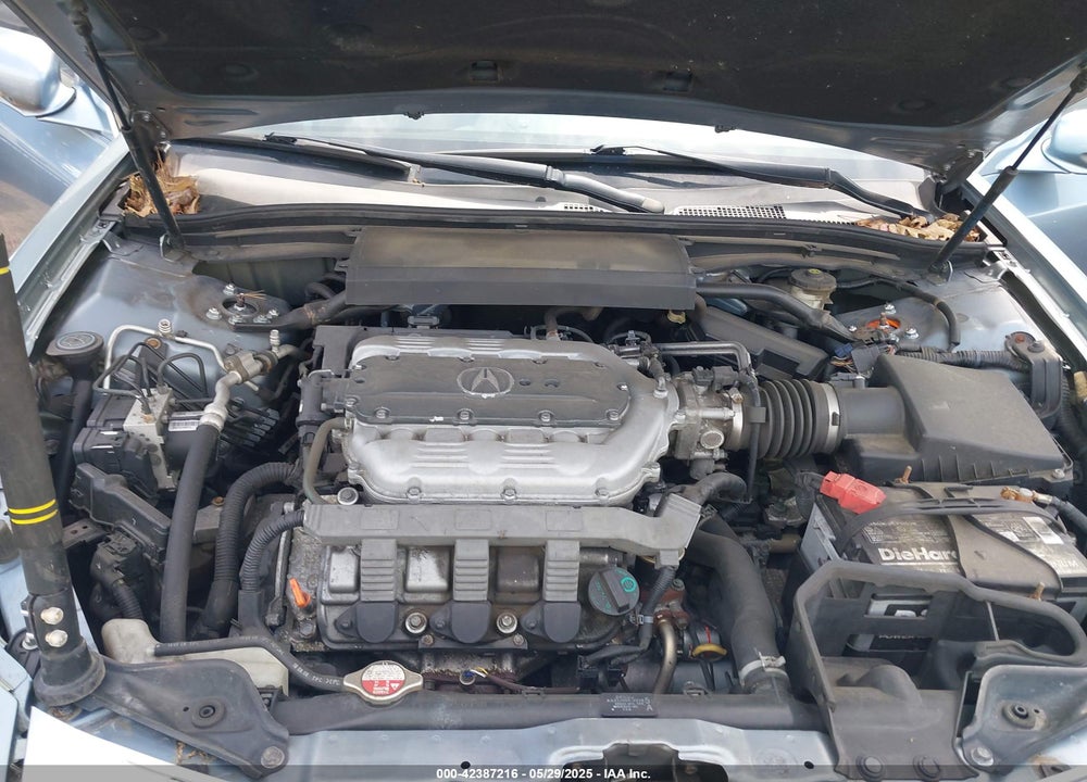 2009 ACURA TL 3.5 (A5) VIN: 19UUA86269A012409