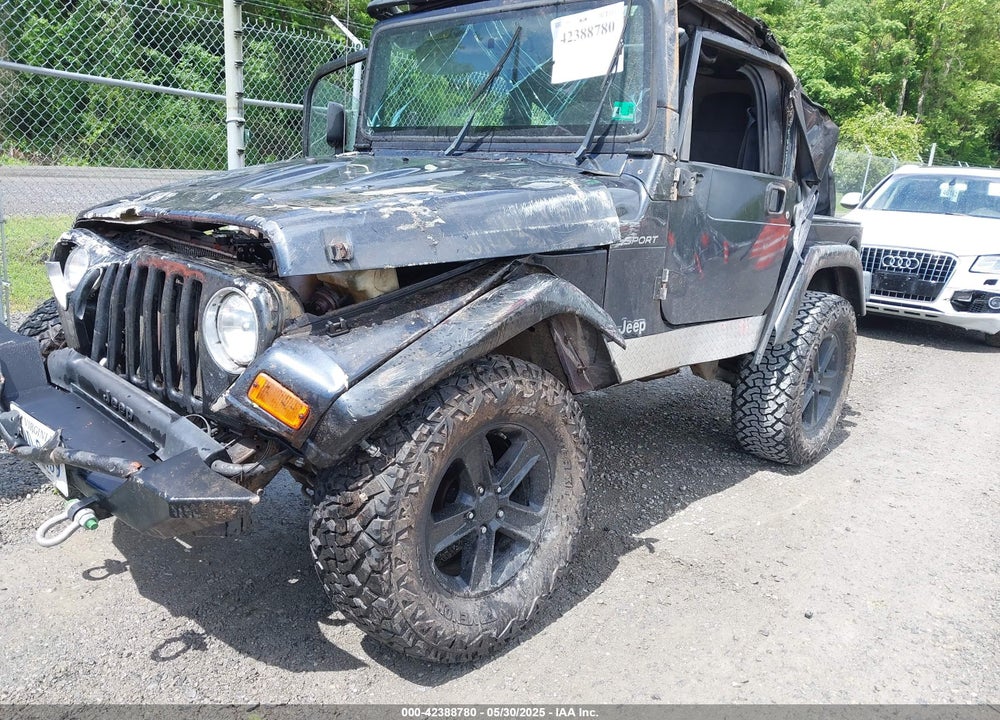 2003 JEEP WRANGLER SPORT VIN: 1J4FA49S53P317779