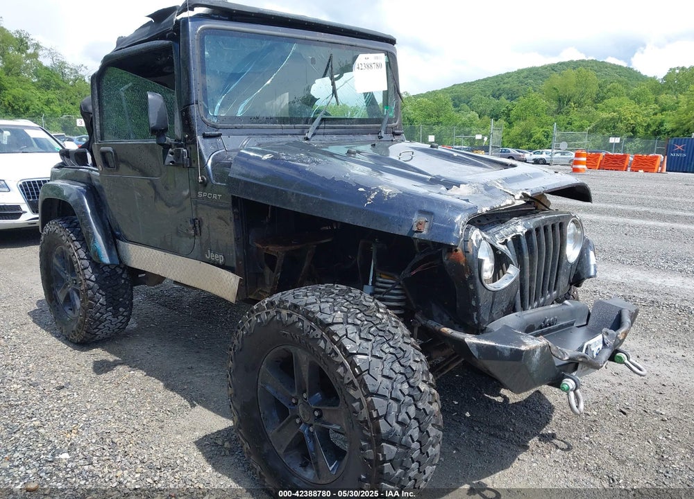 2003 JEEP WRANGLER SPORT VIN: 1J4FA49S53P317779