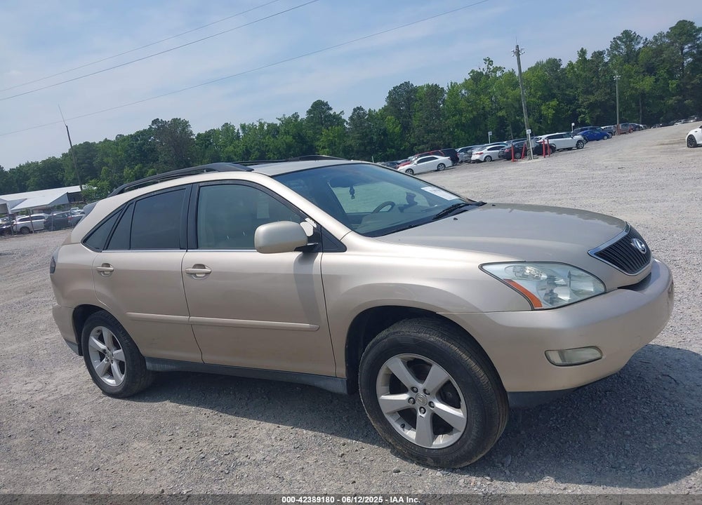 2004 LEXUS RX 330 VIN: JTJGA31U740003124