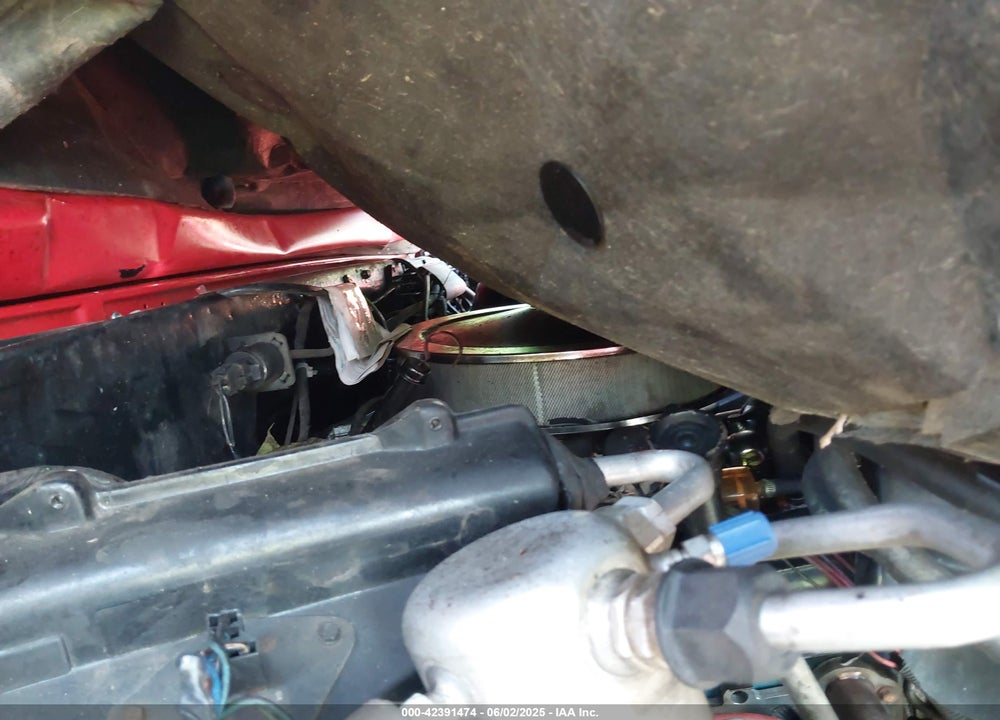 1985 CHEVROLET C10 VIN: 2GCDC14H7F1131843