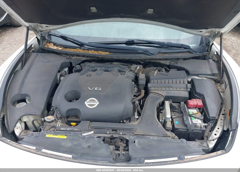 2010 NISSAN MAXIMA VIN: 1N4AA5AP1AC866077
