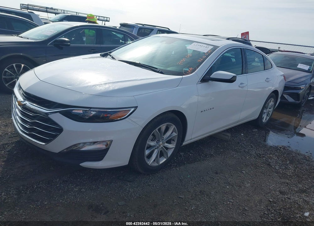 2024 CHEVROLET MALIBU FWD 1LT VIN: 1G1ZD5ST3RF124492