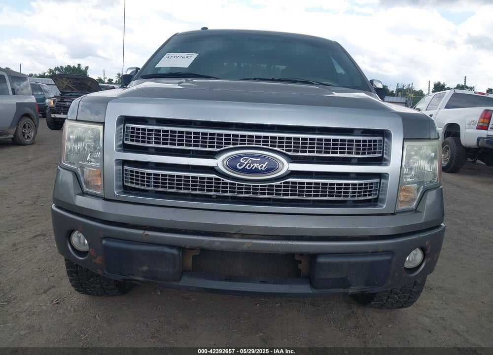 2010 FORD F-150 VIN: 1FTFW1EV1AFB66142