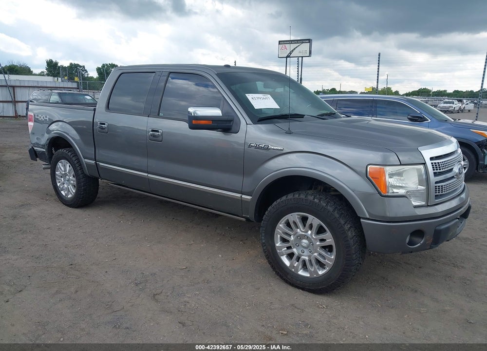 2010 FORD F-150 VIN: 1FTFW1EV1AFB66142