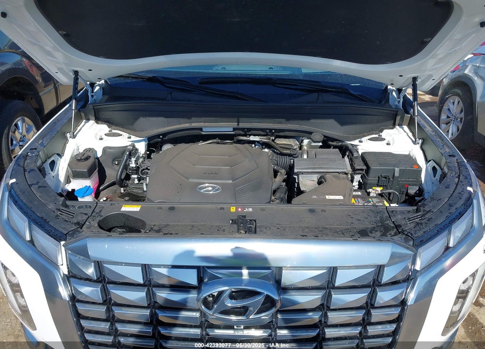 2025 HYUNDAI PALISADE VIN: KM8R74GE0SU828200