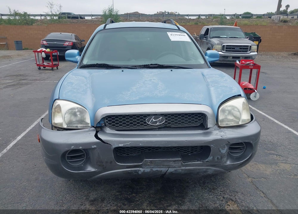 2003 HYUNDAI SANTA FE VIN: KM8SB12B93U456465