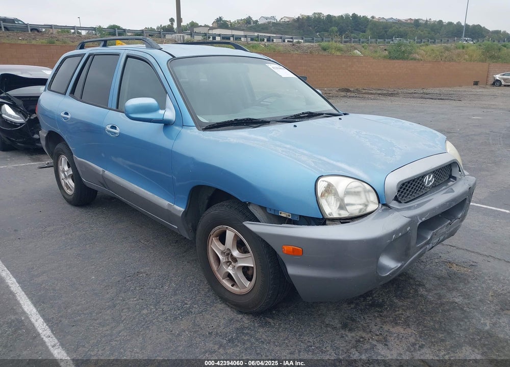 2003 HYUNDAI SANTA FE VIN: KM8SB12B93U456465