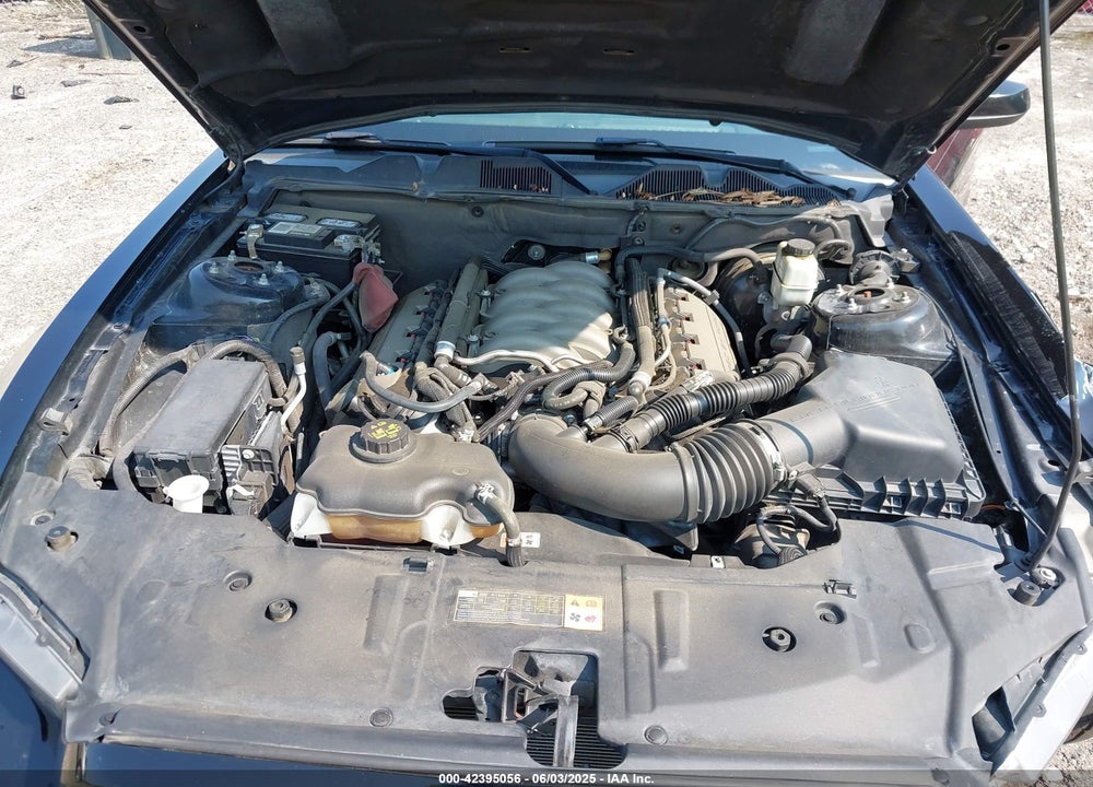2014 FORD MUSTANG VIN: 1ZVBP8CF5E5320280