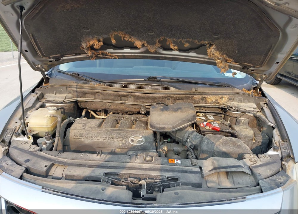 2011 MAZDA CX-9 VIN: JM3TB2BVXB0315202