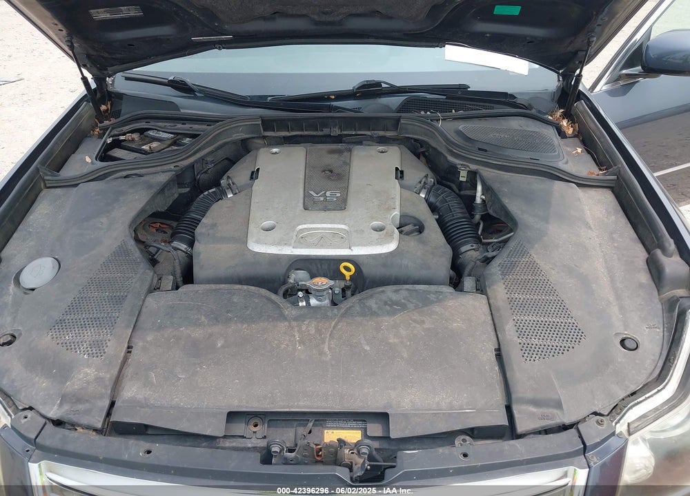 2009 INFINITI M35X VIN: JNKCY01F19M851950