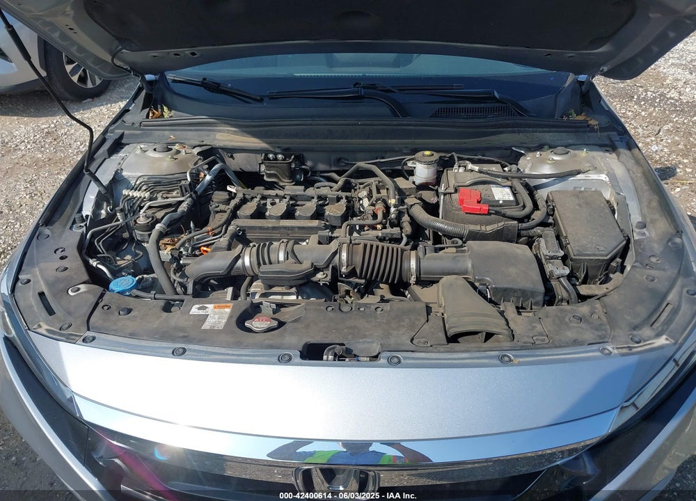 2019 HONDA ACCORD VIN: 1HGCV1F16KA011569